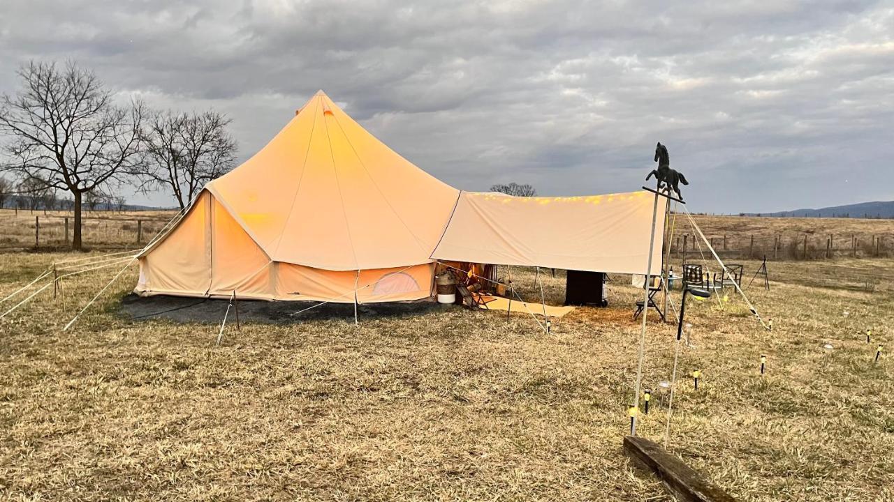 Shenandoah Valley Glamping - Amazing Views - Farm Edinburg Esterno foto