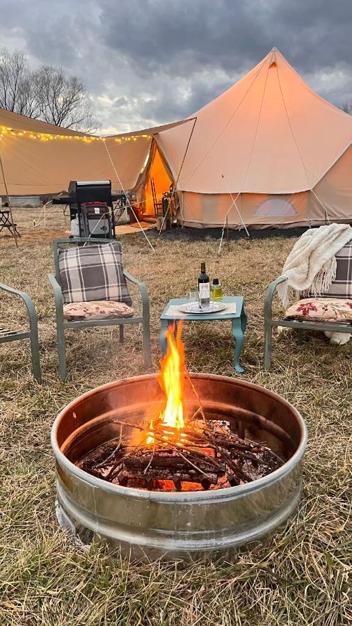 Shenandoah Valley Glamping - Amazing Views - Farm Edinburg Esterno foto