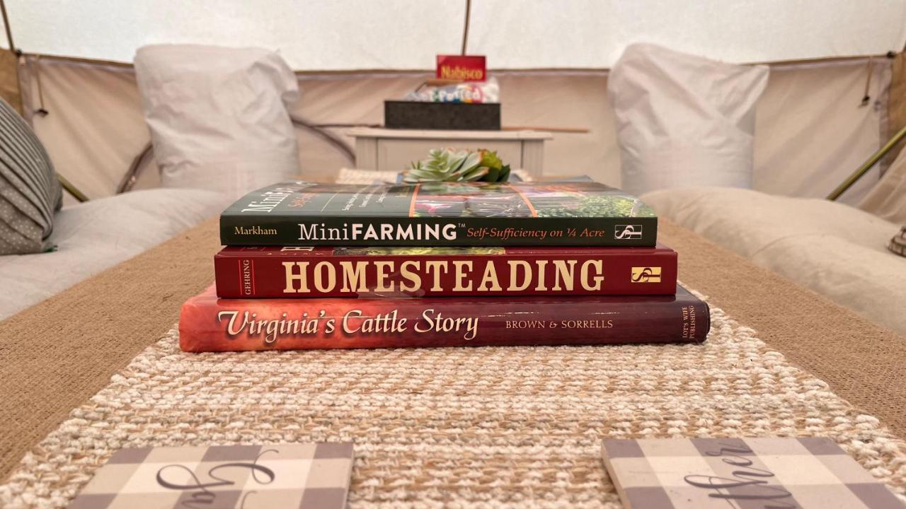 Shenandoah Valley Glamping - Amazing Views - Farm Edinburg Esterno foto