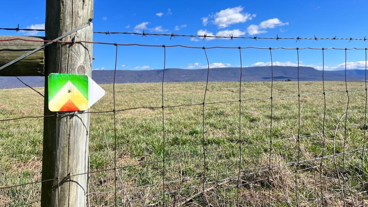 Shenandoah Valley Glamping - Amazing Views - Farm Edinburg Esterno foto