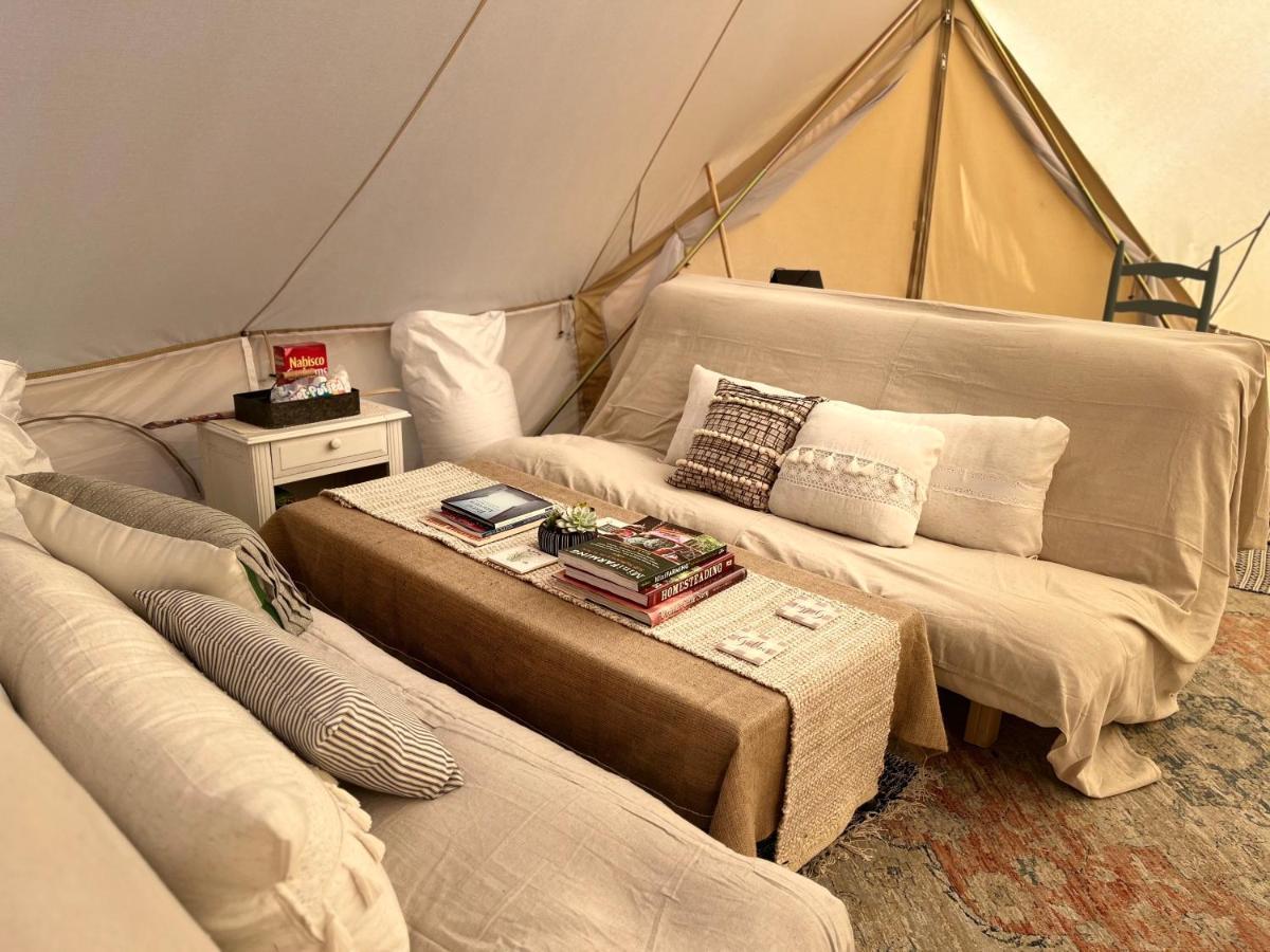 Shenandoah Valley Glamping - Amazing Views - Farm Edinburg Esterno foto