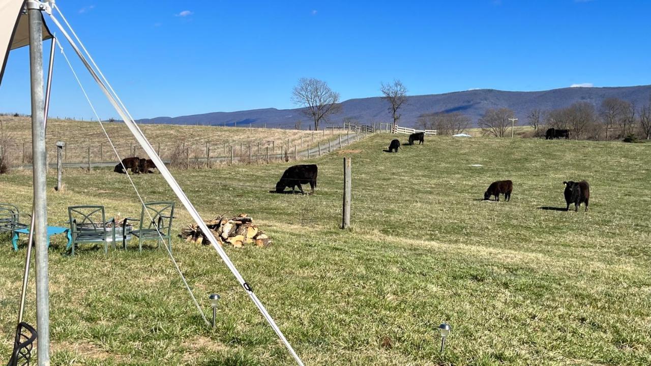 Shenandoah Valley Glamping - Amazing Views - Farm Edinburg Esterno foto