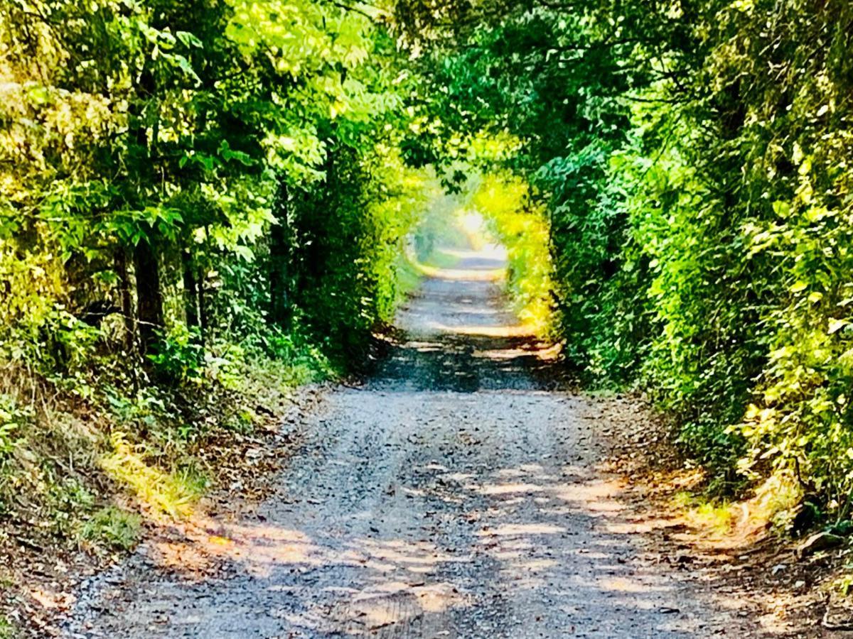 Shenandoah Valley Glamping - Amazing Views - Farm Edinburg Esterno foto